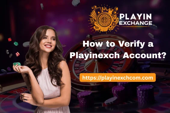Verify Account